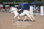 BPP_4027