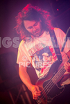 Pigsx7-104