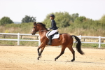 SBM_003098