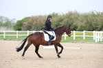 SBM_007210