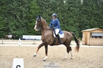 142-Amberley_Pugsley-Hero_A portfolio