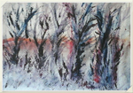 SM43 Row of trees in winter