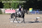 BPP_8278