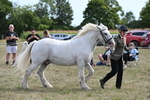WJ6_6607