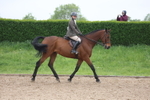 Class 14 - Cob and Hunter portfolio