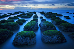 Landscape portfolio