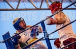 Boxing_Guernsey v Manchester-55