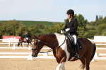SBM_003882