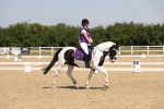 SBM_004330