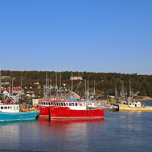 Freshly painted Lobster boats in Alma, New Brunswick await the start of the fall season.