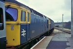 31st March 1985