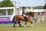 SBM_06900