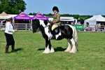 SBM_09366