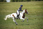 BVHT 140517  IXC -766