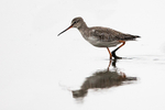 Waders portfolio
