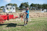 Guernsey Agricultural Show 2021-210
