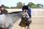 Class 606 - 2027 Area - IH Pre Vet portfolio