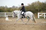SBM_001247