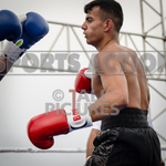 BOUT 12- Tyler the Lion Quintels v Phil Knock Knock Kiddy-54