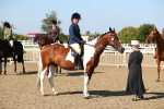 SBM_02283
