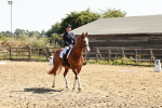 SBM_001648
