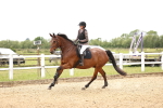 SBM_007902