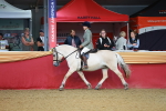 SBM_09522