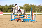 SBM_003308