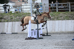 BVRC SJ 170319 509