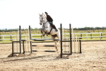 SBM_006904