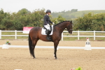 SBM_009900