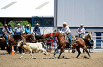 3HRodeo8-11-25_PRCASteer_04506_