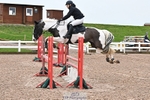 Cls 2 British Novice and 90cm Open portfolio