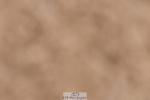 231217A-114910-00845