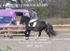 BPP_8631
