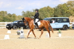 SBM_015246