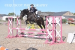 BPP_6811