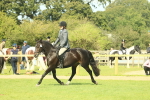 SBM_66655