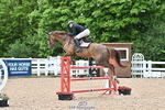 Cls 3 Foxhunter portfolio