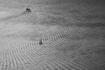 _MG_9890-2