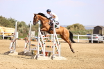 SBM_006780