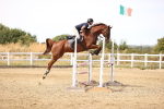 Class 4 - Senior Discovery - 1.00m Open portfolio