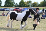 WJ6_6633