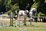 Cls 27 British Novice 90cm Open portfolio