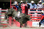 3HRodeo_CFD_JUL_19_2026_03418