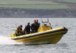 110425 HUMMINBIRD IMG_7291