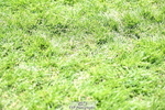 260703A-143456-09416