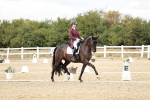 SBM_005638