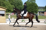 353-THE_RIPPER-Bundy_Philpott-WEDTrotUp+DR portfolio
