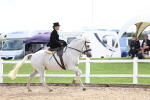 SBM_03457